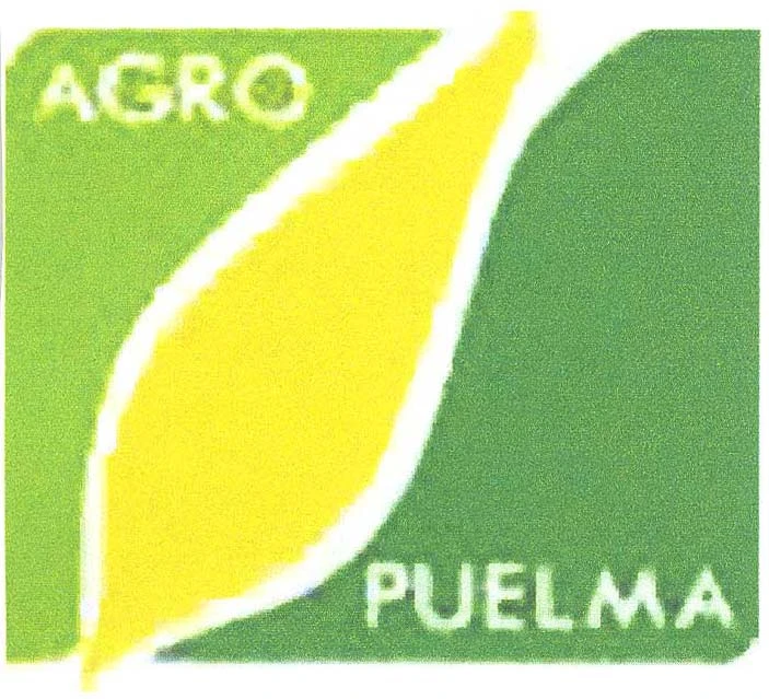 AGRO PUELMA