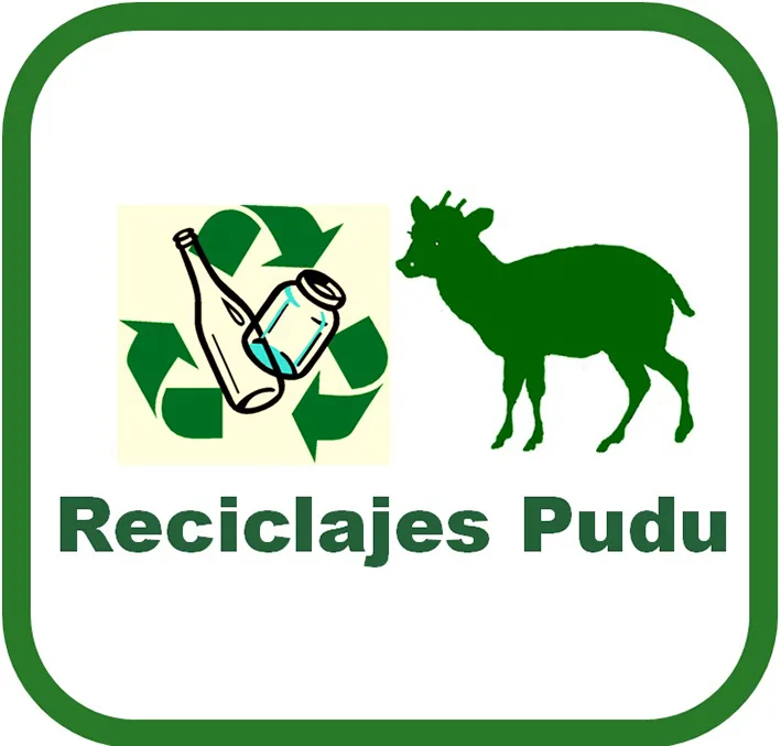 RECICLAJES PUDU