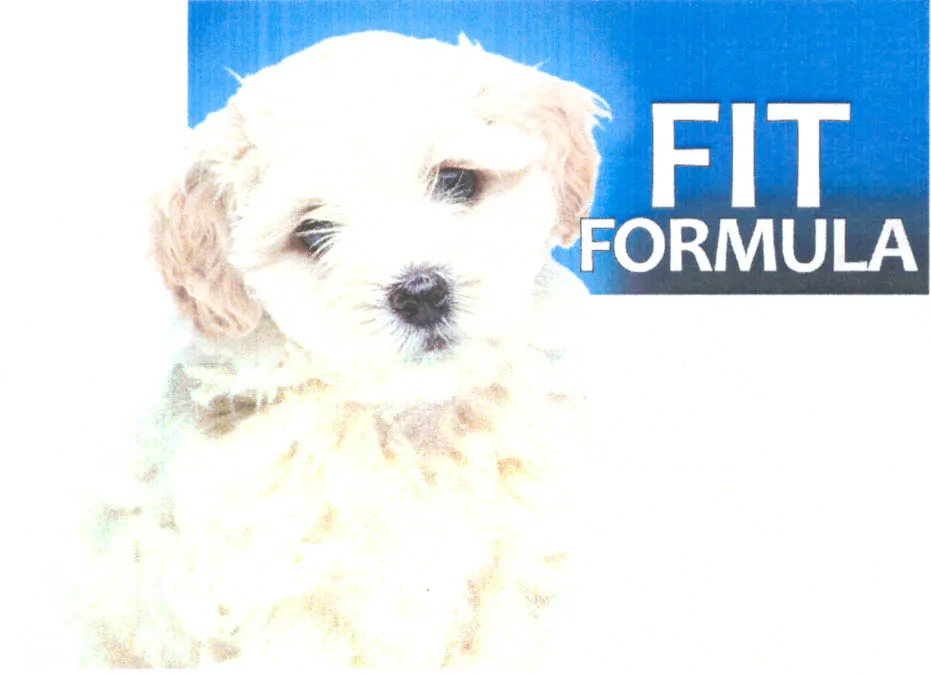 FIT FORMULA