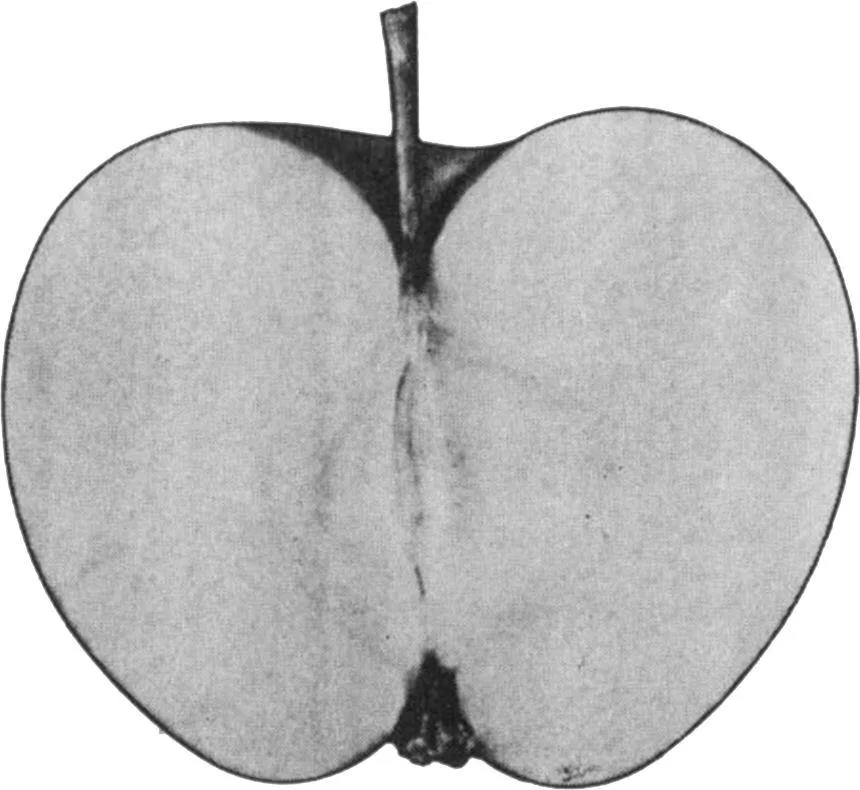 Acta 991028102