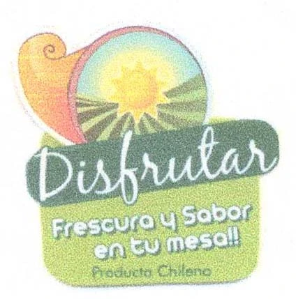 DISFRUTAR