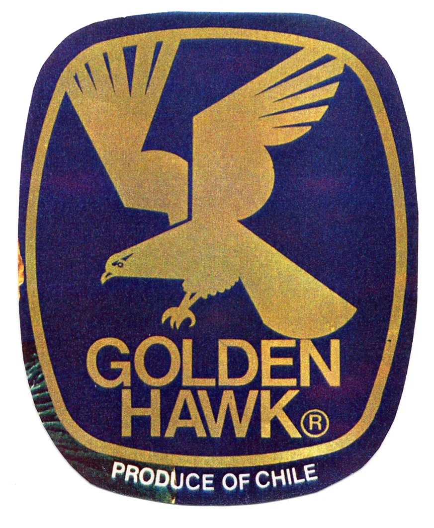 GOLDEN HAWK