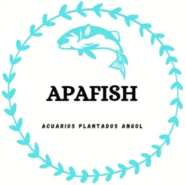 APAFISH ACUARIOS PLANTADOS ANGOL