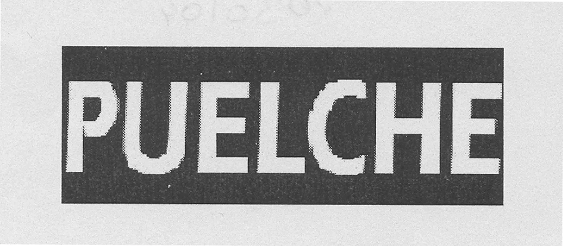 PUELCHE