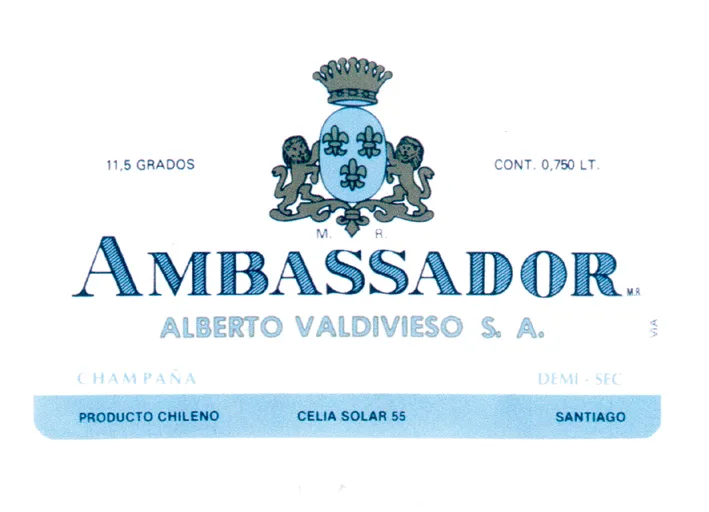 AMBASSADOR