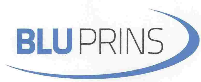 BLUPRINS