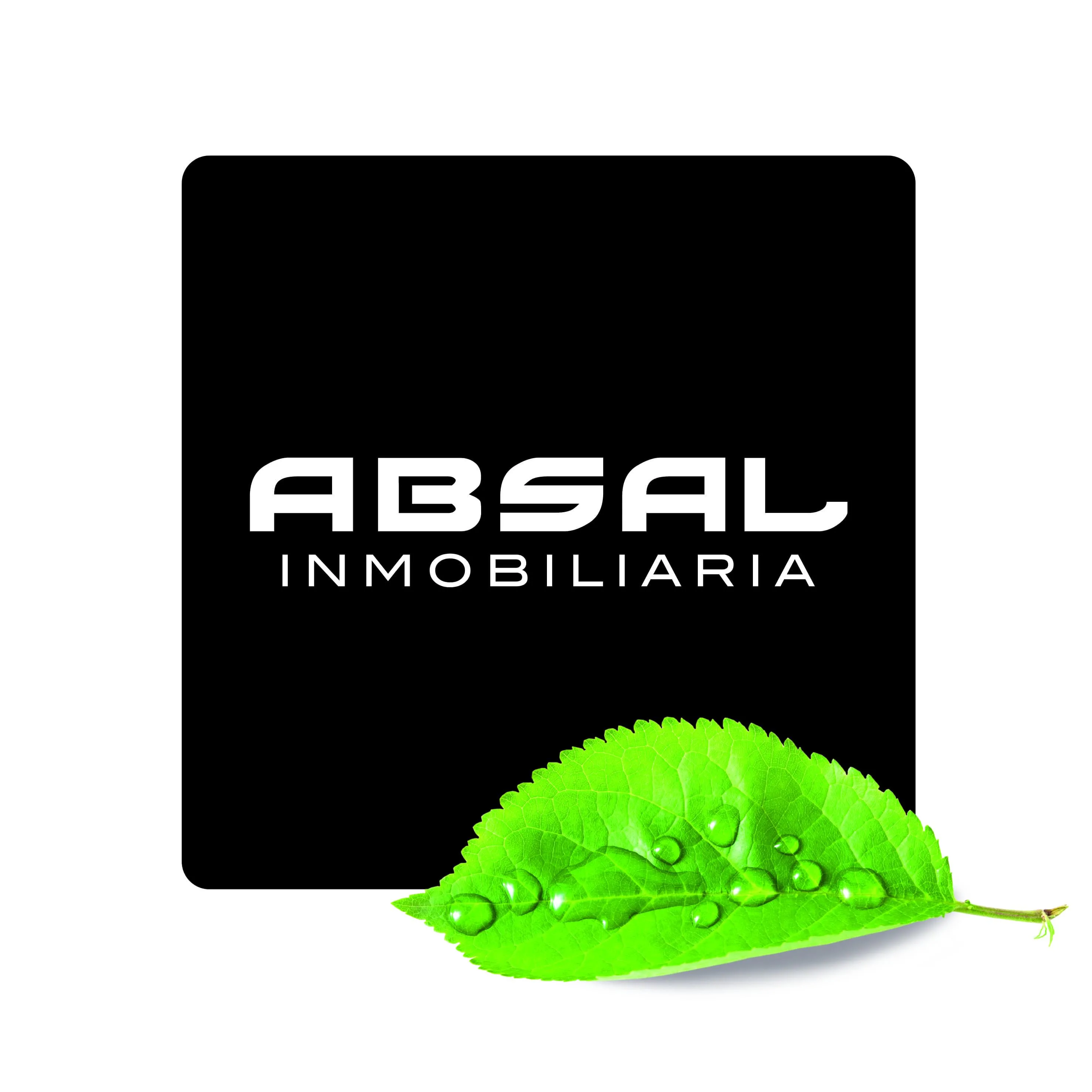 ABSAL INMOBILIARIA