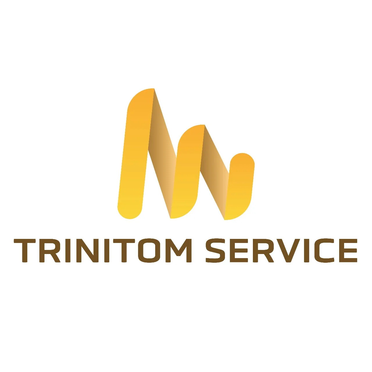 Trinitom Service