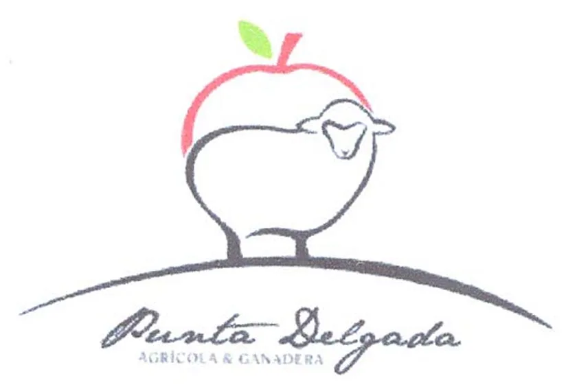 PUNTA DELGADA AGRICOLA & GANADERA