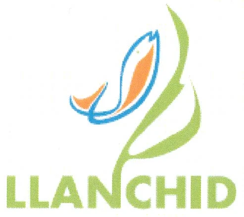 LLANCHID