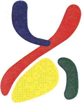 Acta 1146106