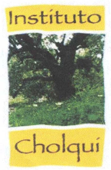 INSTITUTO CHOLQUI