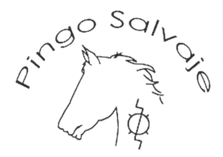 PINGO SALVAJE