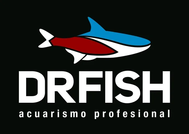 DR FISH