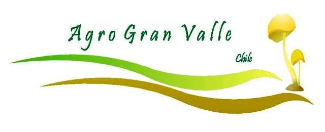 AGRO GRAN VALLE