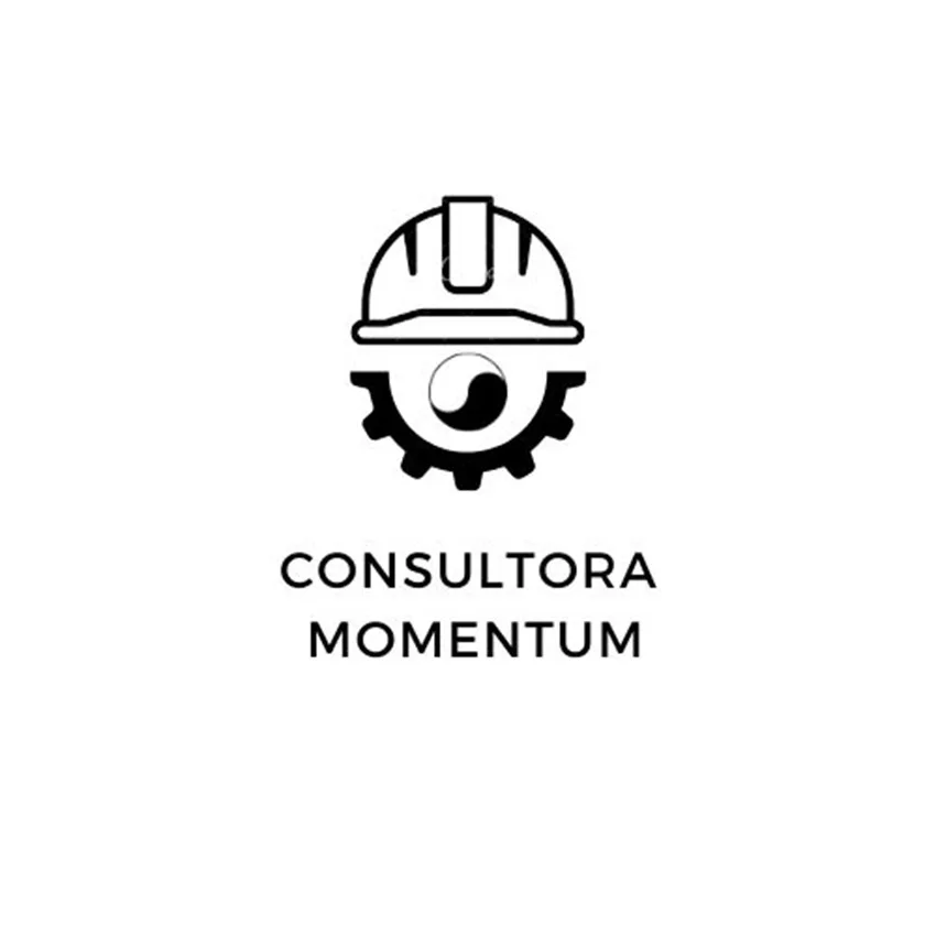 CONSULTORA MOMENTUM