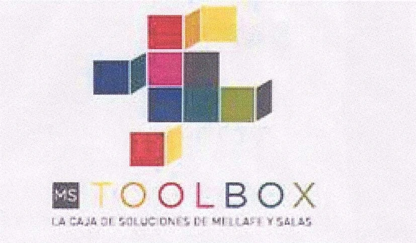 MS TOOLBOX LA CAJA DE SOLUCIONES DE MELLAFE Y SALAS