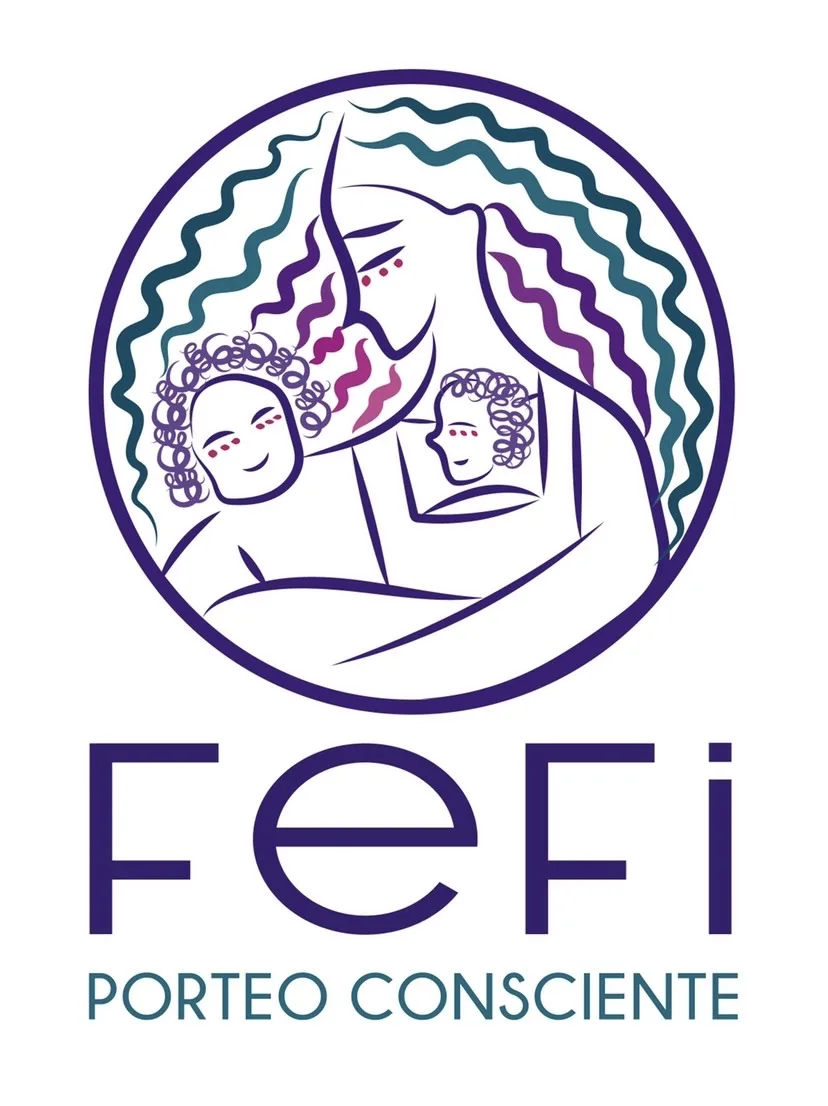 FeFi