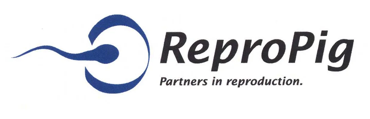 REPROPIG