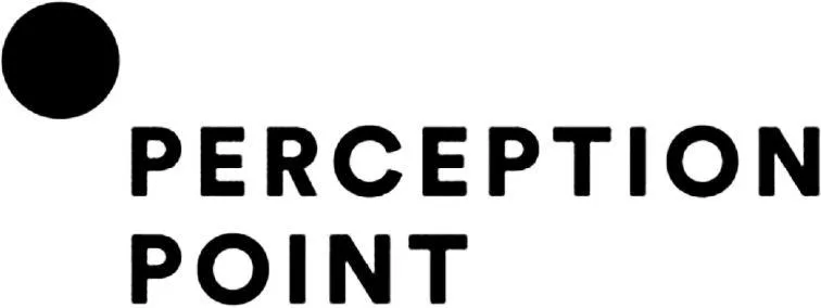 PERCEPTION POINT