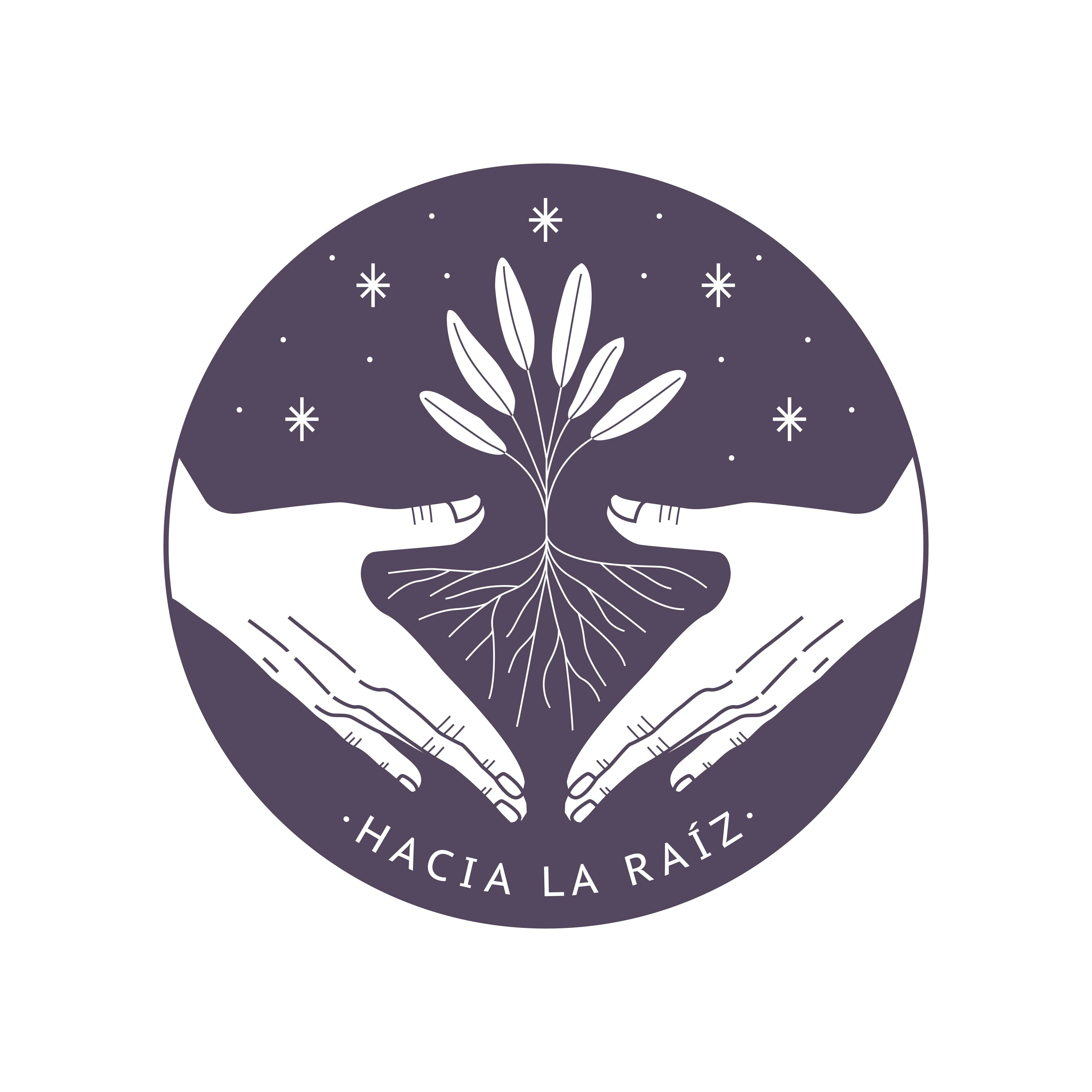 HACIA LA RAÍZ