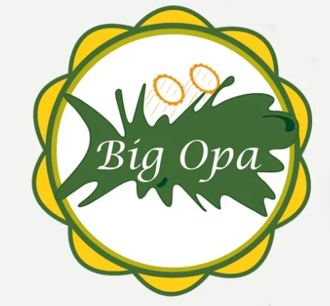 BIG OPA