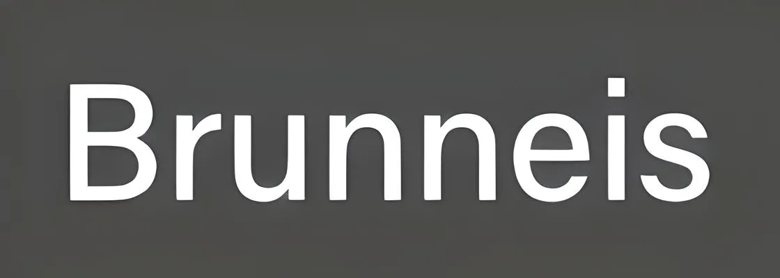 BRUNNEIS