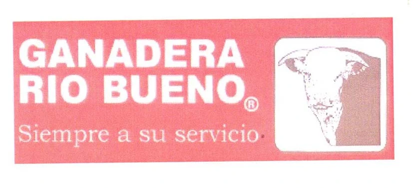 GANADERA RIO BUENO