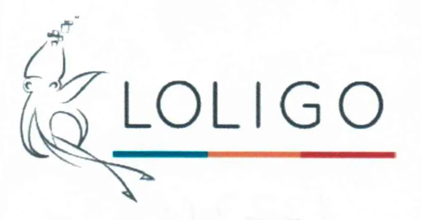 LOLIGO