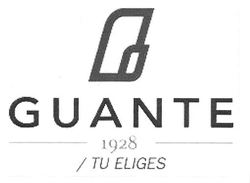 GUANTE TU ELIGES