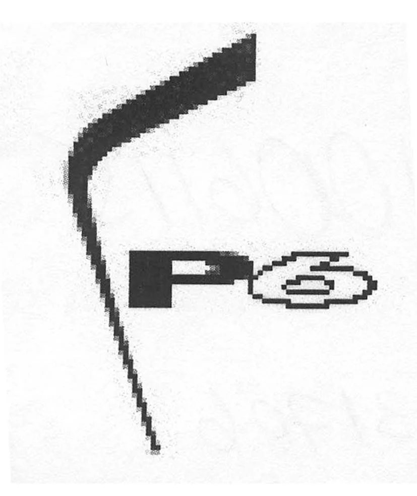 P6