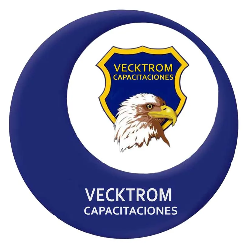 VECKTROM CAPACITACIONES