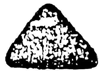 Acta 1165116