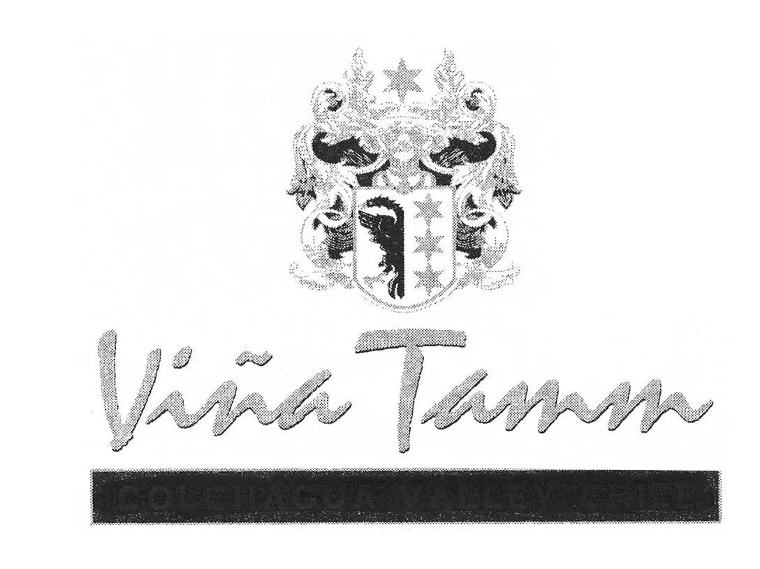 VIÑA TAMM