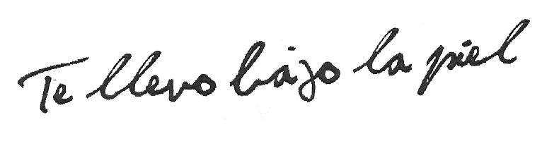 TE LLEVO BAJO LA PIEL