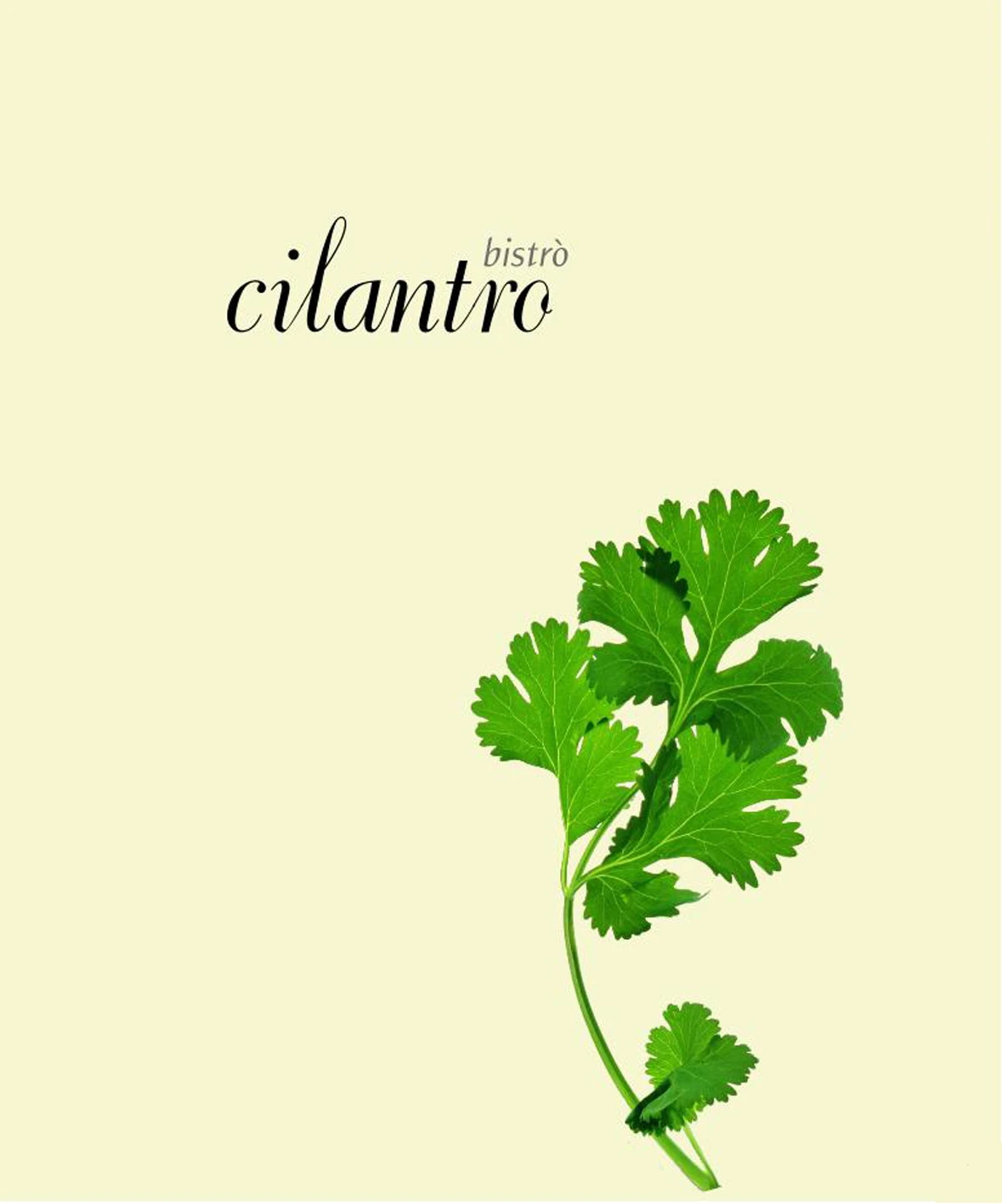 CILANTRO BISTRO
