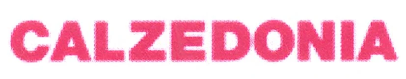 CALZEDONIA