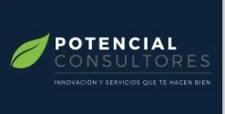 POTENCIAL CONSULTORES