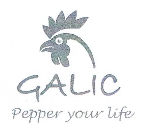 GALIC