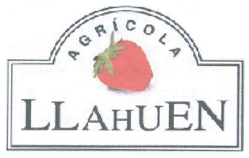 AGRICOLA LLAHUEN