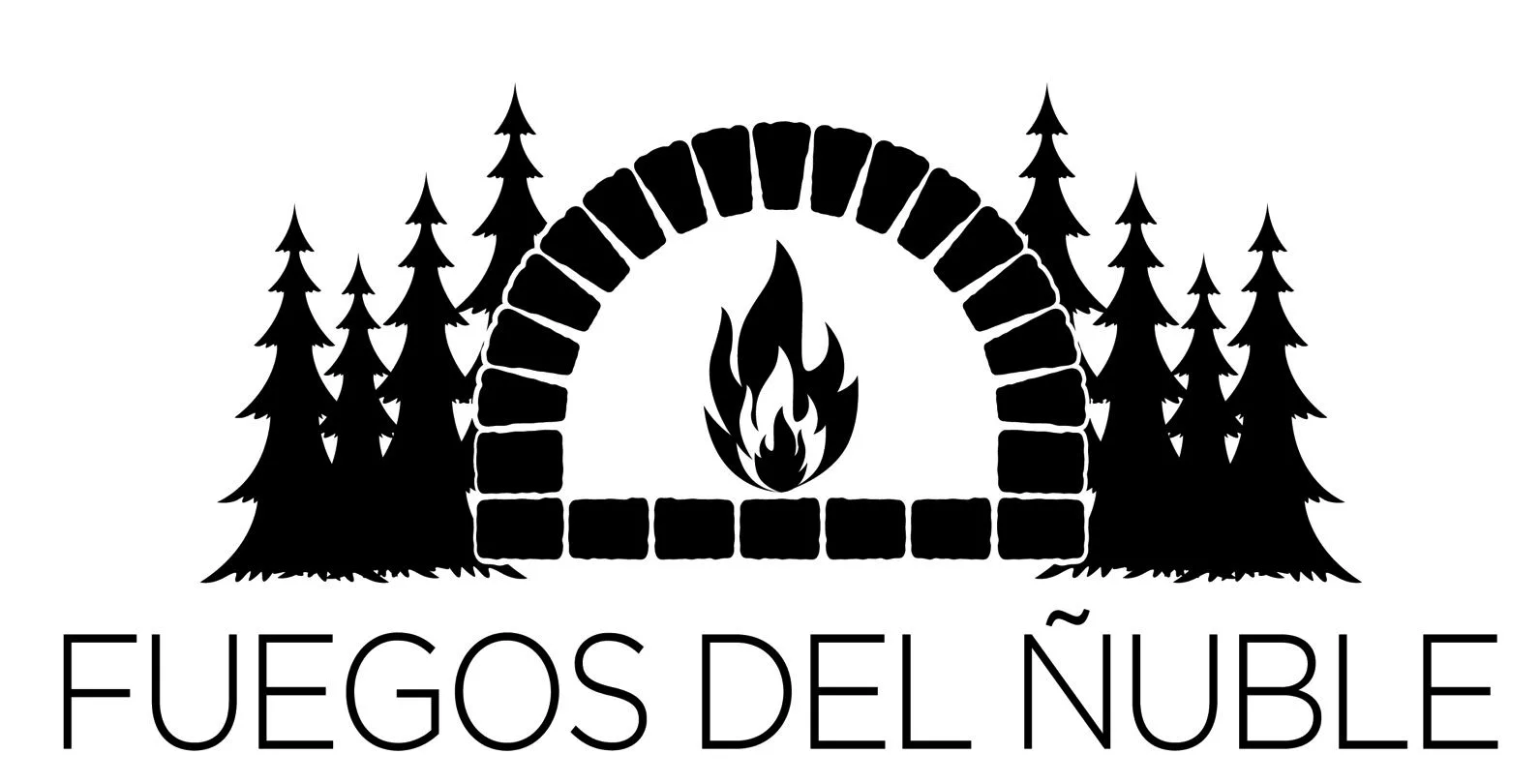 FUEGOS DEL ÑUBLE