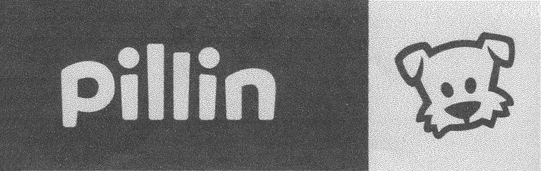 PILLIN