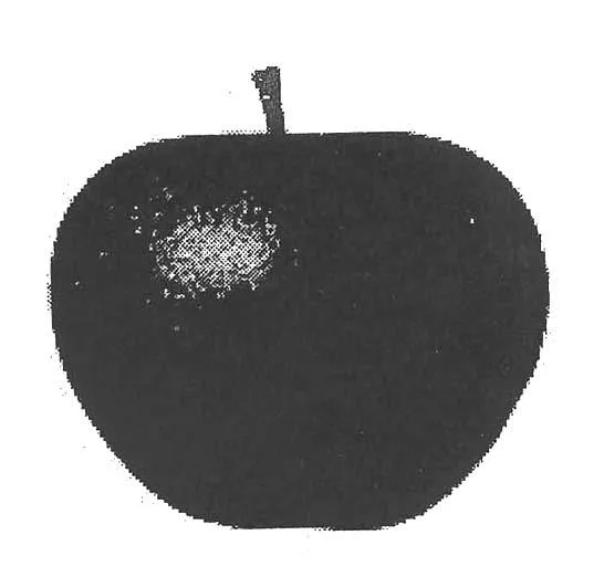 Acta 961121