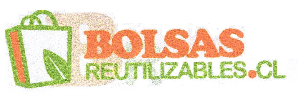 BR BOLSAS REUTILIZABLES.CL