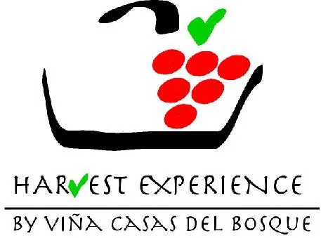 HARVEST EXPERIENCE BY VIÑA CASAS DEL BOSQUE