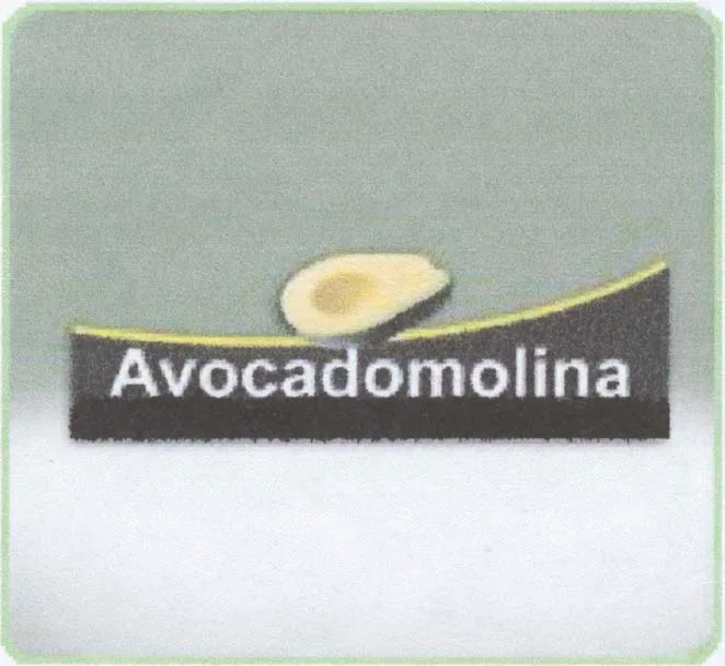 AVOCADOMOLINA