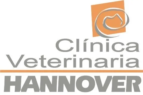 Clinica Veterinaria Hannover