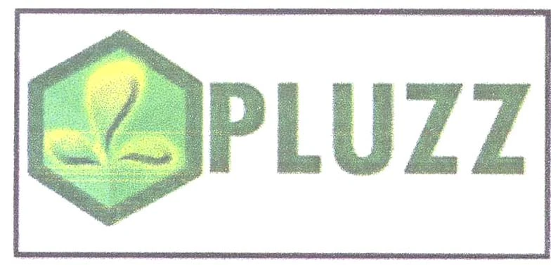 PLUZZ