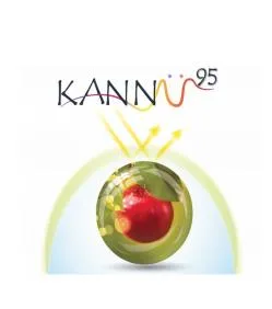 KANNÜ 95