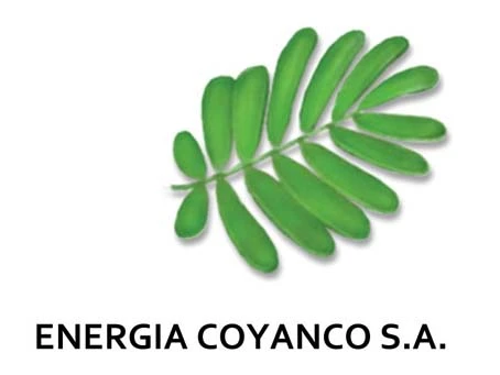 ENERGIA COYANCO S.A.